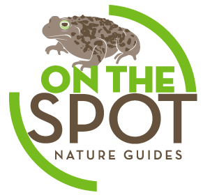 On The Spot Nature Guides